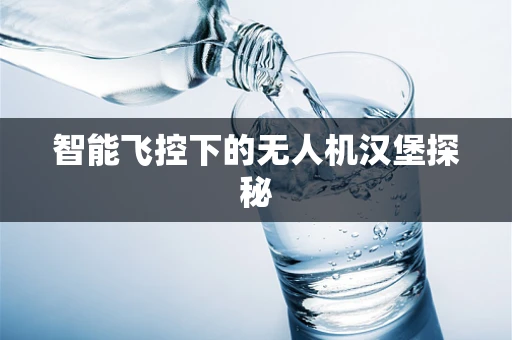 智能飞控下的无人机汉堡探秘