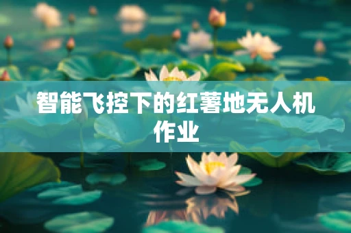 智能飞控下的红薯地无人机作业