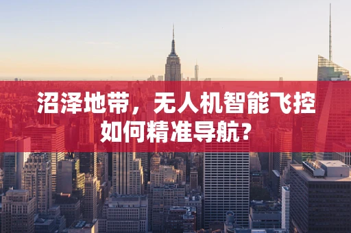 沼泽地带，无人机智能飞控如何精准导航？