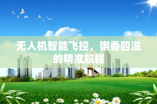 无人机智能飞控，粥香四溢的精准航程