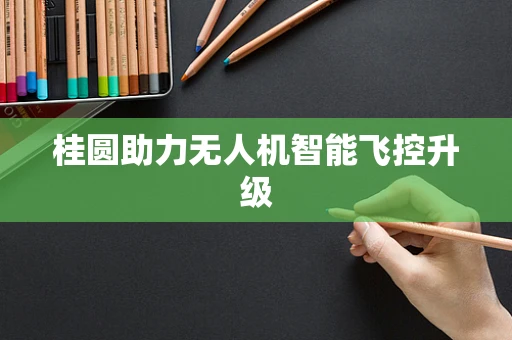 桂圆助力无人机智能飞控升级