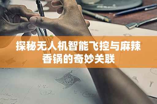 探秘无人机智能飞控与麻辣香锅的奇妙关联