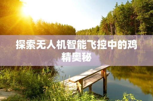 探索无人机智能飞控中的鸡精奥秘