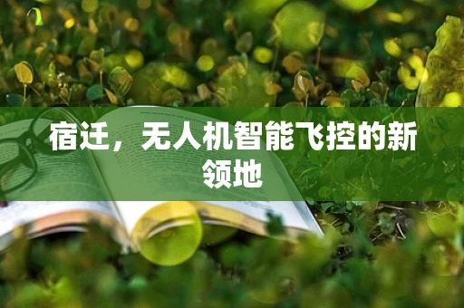 宿迁，无人机智能飞控的新领地