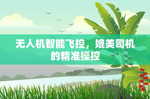 无人机智能飞控，媲美司机的精准操控