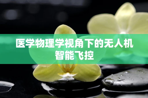 医学物理学视角下的无人机智能飞控