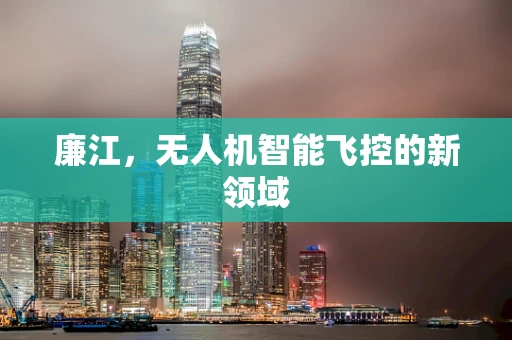廉江，无人机智能飞控的新领域