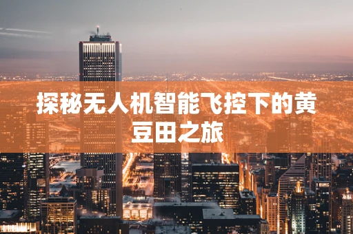 探秘无人机智能飞控下的黄豆田之旅