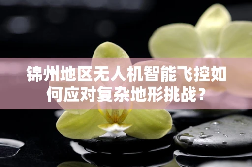 锦州地区无人机智能飞控如何应对复杂地形挑战？