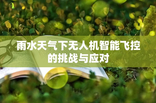 雨水天气下无人机智能飞控的挑战与应对