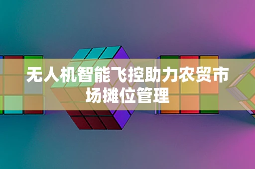 无人机智能飞控助力农贸市场摊位管理