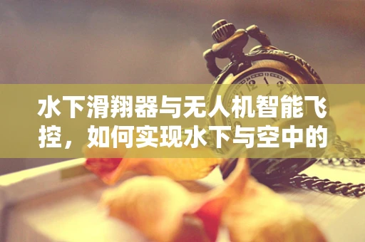 水下滑翔器与无人机智能飞控，如何实现水下与空中的无缝协同？