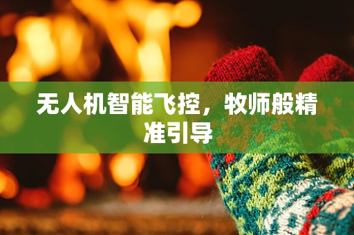 无人机智能飞控，牧师般精准引导