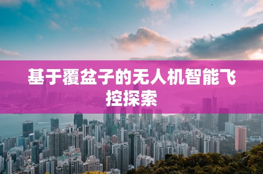 基于覆盆子的无人机智能飞控探索