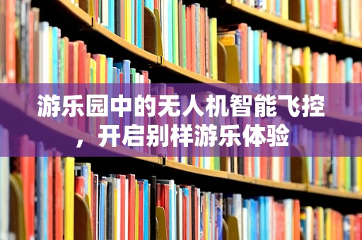 游乐园中的无人机智能飞控，开启别样游乐体验