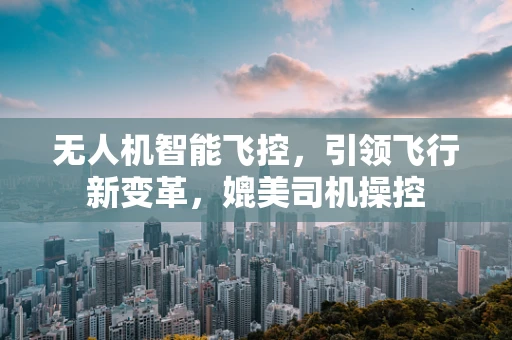 无人机智能飞控，引领飞行新变革，媲美司机操控
