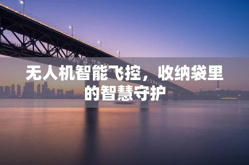 无人机智能飞控，收纳袋里的智慧守护