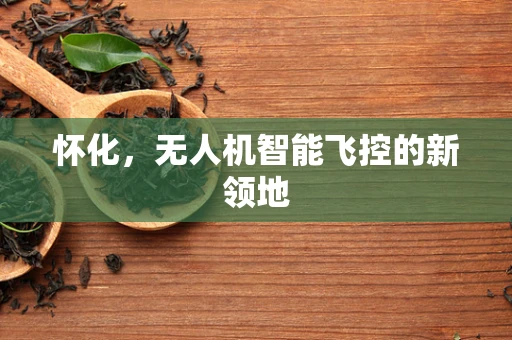 怀化，无人机智能飞控的新领地