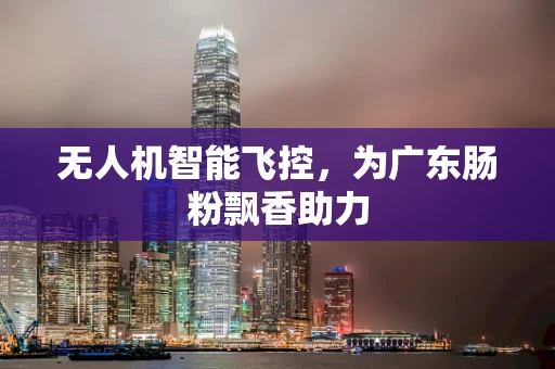 无人机智能飞控，为广东肠粉飘香助力