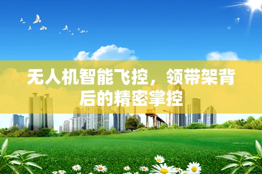 无人机智能飞控，领带架背后的精密掌控
