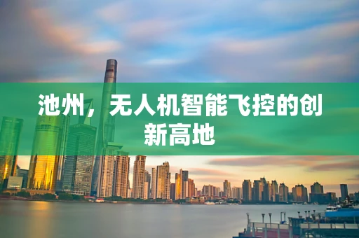 池州，无人机智能飞控的创新高地
