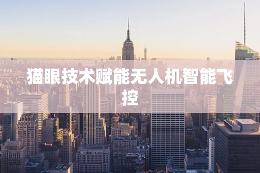 猫眼技术赋能无人机智能飞控