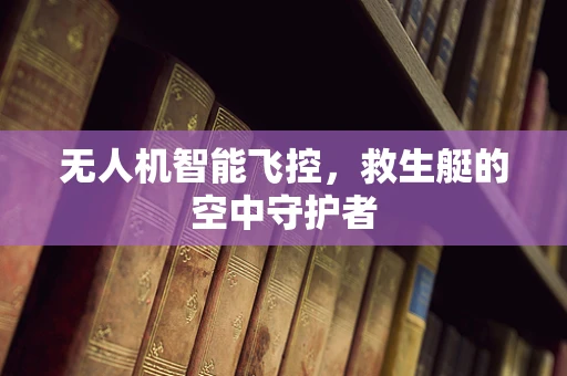 无人机智能飞控，救生艇的空中守护者