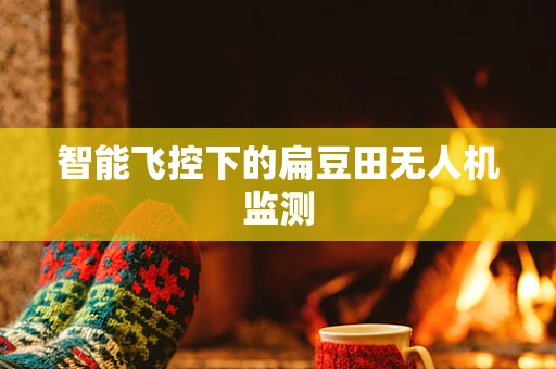 智能飞控下的扁豆田无人机监测