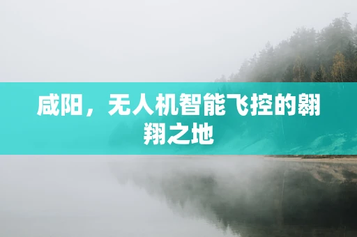 咸阳，无人机智能飞控的翱翔之地