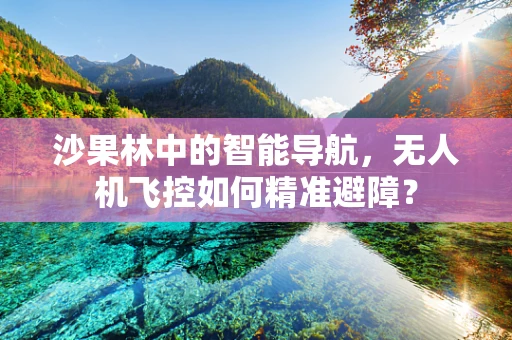 沙果林中的智能导航，无人机飞控如何精准避障？