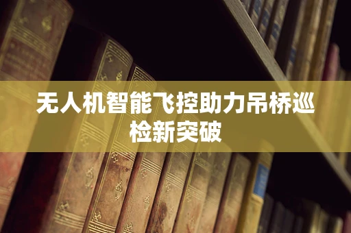 无人机智能飞控助力吊桥巡检新突破