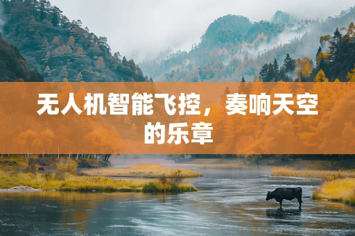 无人机智能飞控，奏响天空的乐章