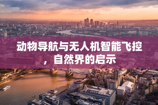 动物导航与无人机智能飞控，自然界的启示