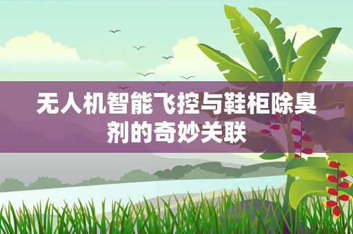 无人机智能飞控与鞋柜除臭剂的奇妙关联