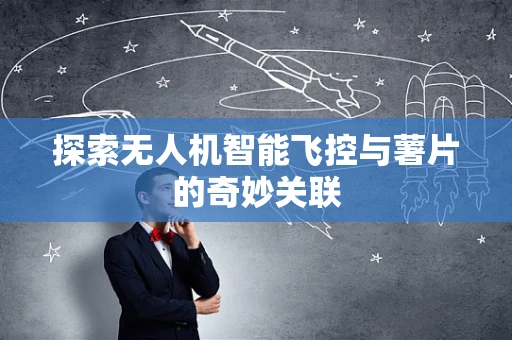 探索无人机智能飞控与薯片的奇妙关联