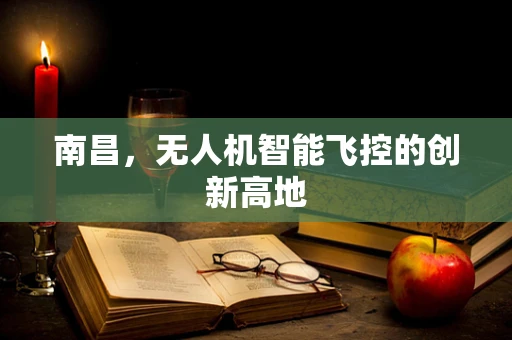 南昌，无人机智能飞控的创新高地