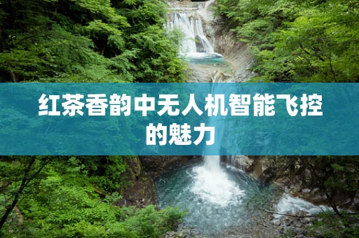 红茶香韵中无人机智能飞控的魅力