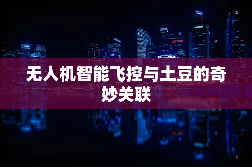 无人机智能飞控与土豆的奇妙关联