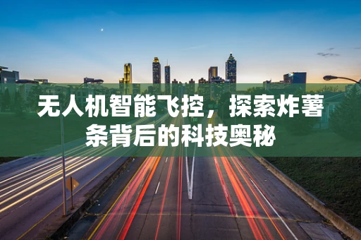 无人机智能飞控，探索炸薯条背后的科技奥秘