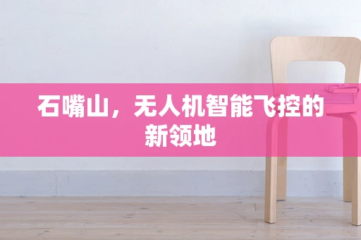 石嘴山，无人机智能飞控的新领地