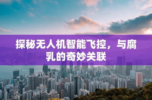 探秘无人机智能飞控，与腐乳的奇妙关联