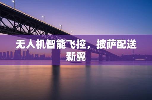 无人机智能飞控，披萨配送新翼