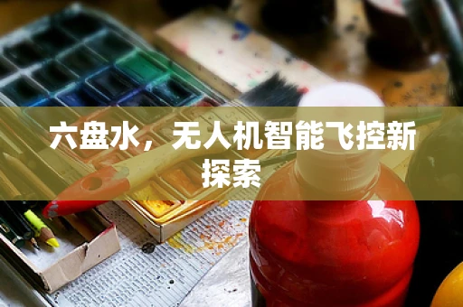 六盘水，无人机智能飞控新探索