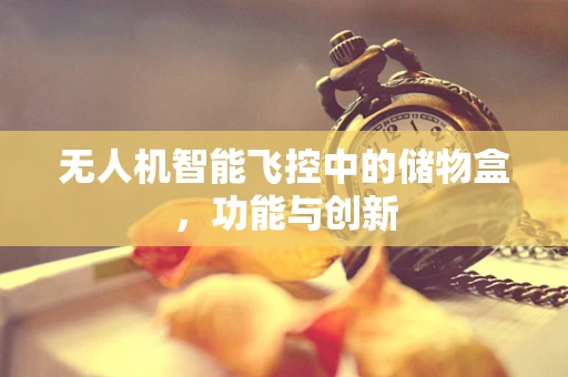 无人机智能飞控中的储物盒，功能与创新