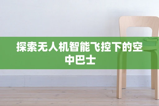 探索无人机智能飞控下的空中巴士