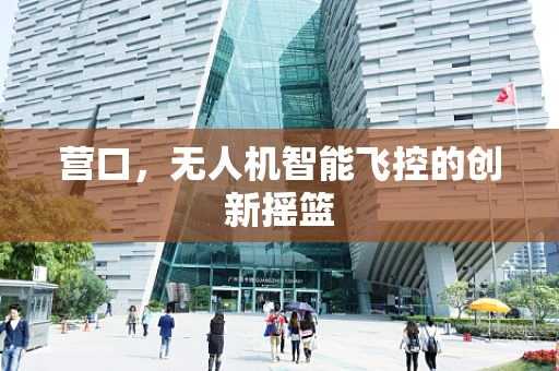 营口，无人机智能飞控的创新摇篮