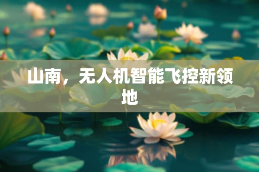 山南，无人机智能飞控新领地