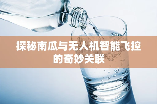 探秘南瓜与无人机智能飞控的奇妙关联