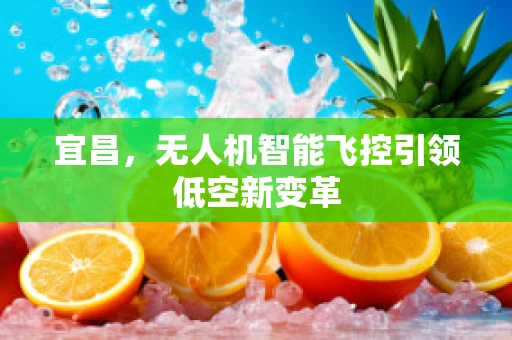 宜昌，无人机智能飞控引领低空新变革