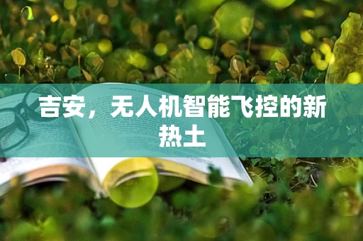 吉安，无人机智能飞控的新热土